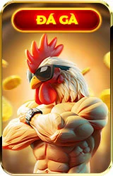đá gà acb8 dev