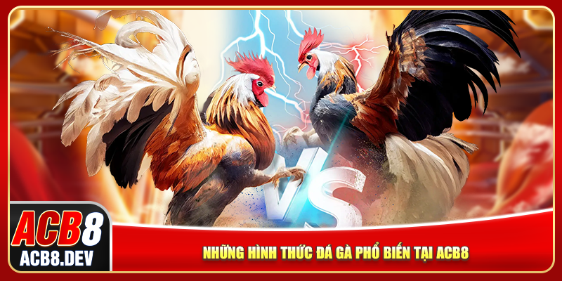 Những hình thức đá gà phổ biến tại ACB8